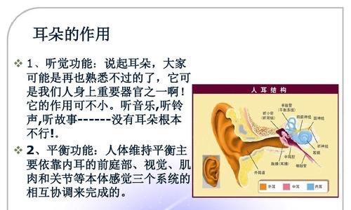在学校如何开启电脑的声音外放功能？开启电脑声音外放的正确步骤是什么？