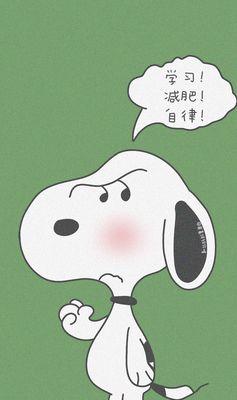 史努比手机拍照像素性能如何？