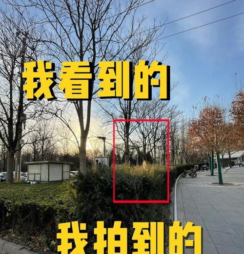 用手机拍出好照片的技巧有哪些？