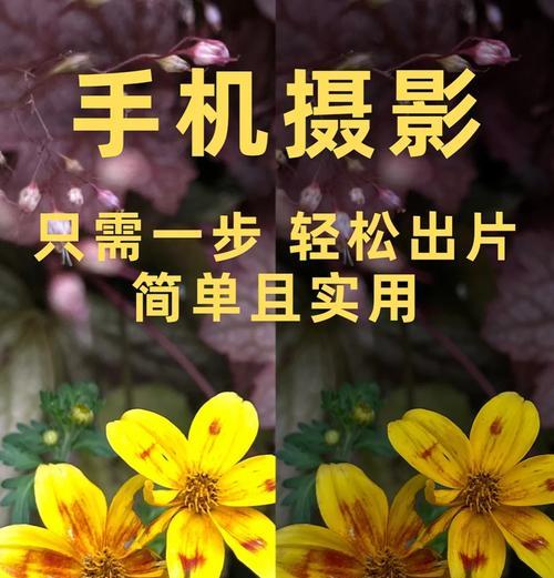 荣耀手机质感模式拍照技巧是什么？