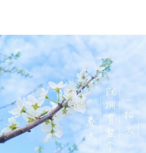手机拍照如何设置更清新？有哪些技巧？