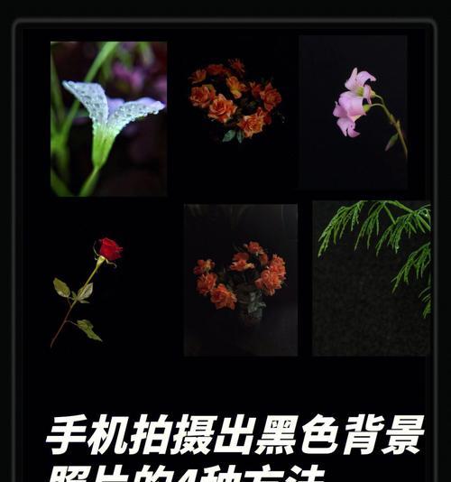 手机拍摄照片的最佳技巧有哪些？