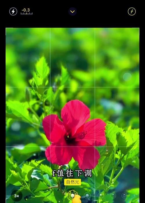 如何在手机拍照时实现背景虚化效果？