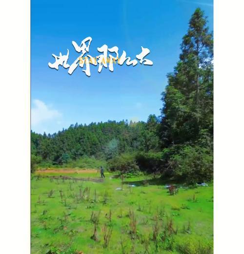 如何将营地拍摄的视频保存到手机中？