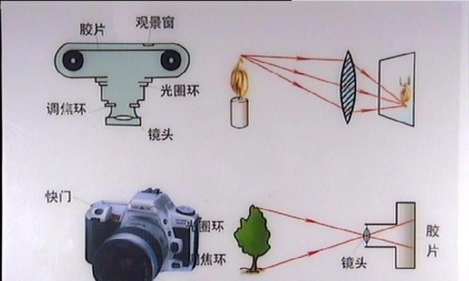 胶片能用于投影仪吗？原因是什么？