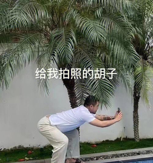 手机拍照时斜屏怎么拿才稳？有哪些技巧可以拍出好照片？
