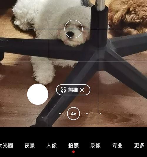 手机自拍后如何快速截图？