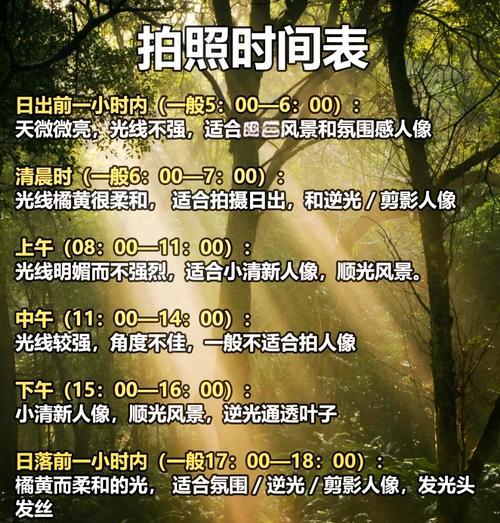 如何在手机拍照时打出好的光线效果？