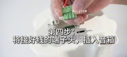 音箱连线隐藏设置的具体步骤是什么？