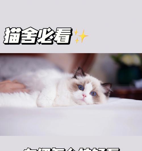 布偶相机变异性镜头如何操作？