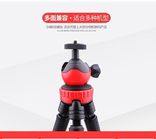 骑行时单反相机如何固定？