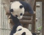 小米12s吉星高照功能如何设置？设置过程中常见问题有哪些？