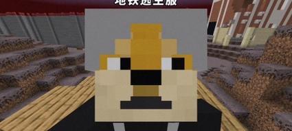 地铁逃生天穹进入服务器步骤是什么？进入服务器后如何操作？