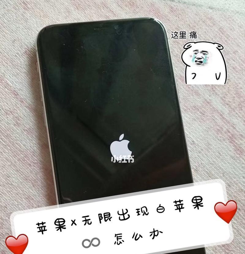 苹果手机白苹果如何恢复？数据会丢失吗？