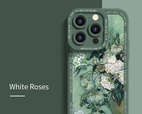 PR软件怎么安装到iPhone？安装过程中可能会遇到哪些问题？