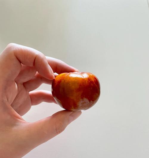 修手机的小苹果是什么？它有什么特点？