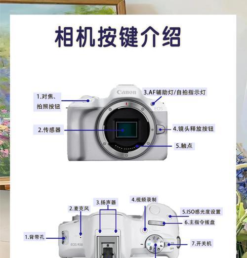 佳能相机缩小键如何设置？缩小键功能有什么用？