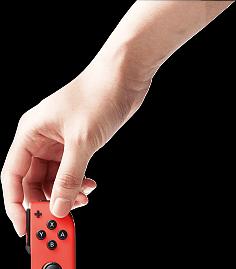 鸭子王争霸赛switch怎么下载？下载过程中需要注意什么？