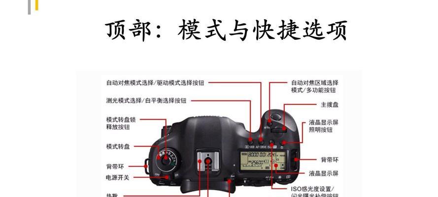 如何使用佳能相机对焦功能进行手机拍照？佳能相机对焦技巧有哪些？