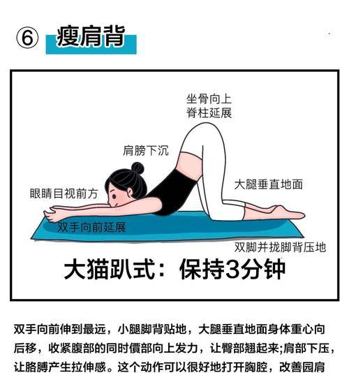 平板支架松弛的修复方法是什么？平板支架松弛修复图解在哪里可以找到？