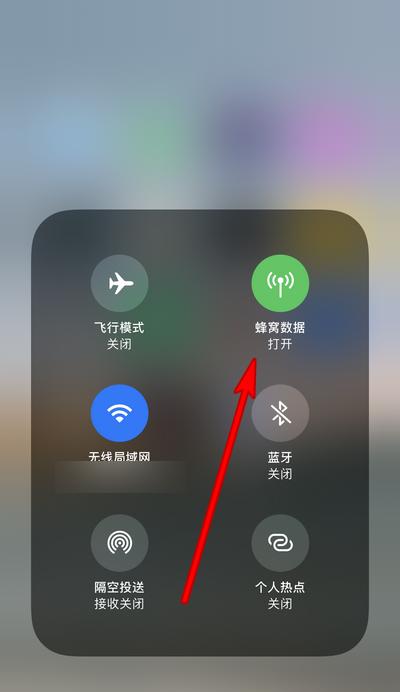 苹果迷你平板电脑蜂窝数据如何开启？